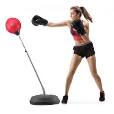 Training Punching Bags